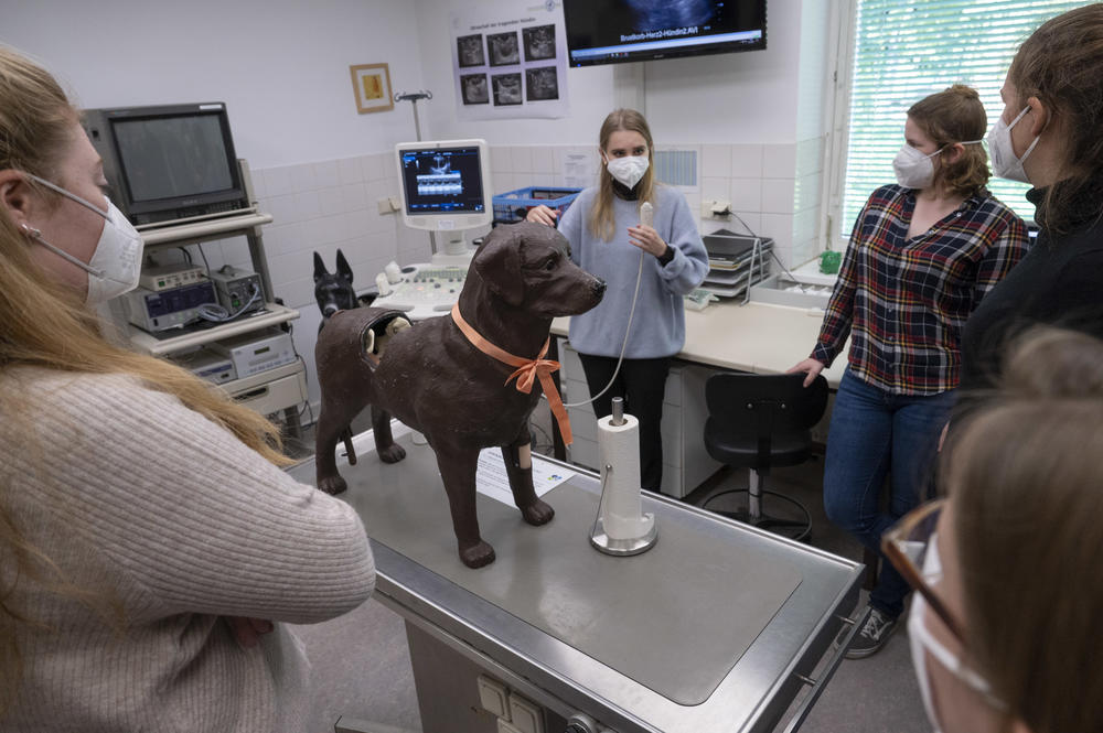 Geduldig und zuverlässig. Mit dem Geburtssimulator Gyndog üben die Studierenden den Ultraschall, eine Kommilitonin coacht. An dem Modell können Studierende den kompletten Geburtsvorgang nachvollziehen.