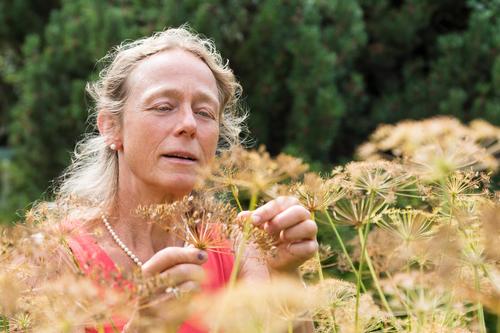 Elke Zippel will für einen Großteil der im Nordosten und Osten Deutschlands vorkommenden Pflanzenarten Samen in die Dahlemer Saatgutbank einlagern.