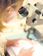 Foto: Sebastian Nardot, fotolia