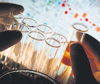 Neue Wege in der Forschung gehen Wissenschaftler der Berlin-Brandenburg Schule für Regenerative Therapie