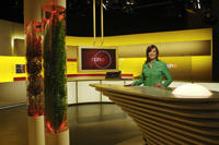 TV-Wissenschaft: Die Sendungen im deutschen Fernsehen sind vielfältig. Medienforscher wollen herausfinden, warum es so schwierig ist, Formate zu konzipieren, die europaweit ankommen.