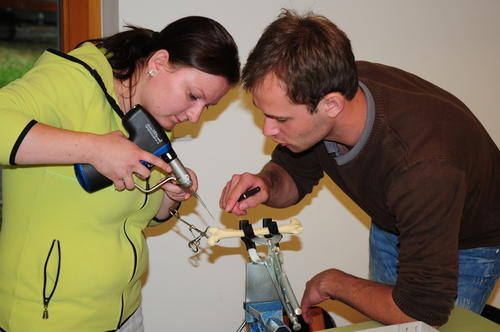 An künstlichen Präparaten übten sich internationale Studierende und praktizierende Tierärzte bei einem Workshop darin, Knochenbrüche zu versorgen.