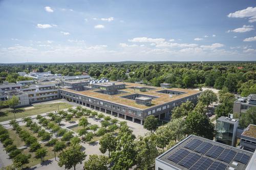 Neubau Kleine Fächer