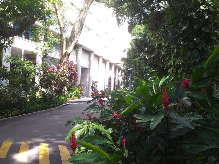 Pontifical Catholic University of Rio de Janeiro