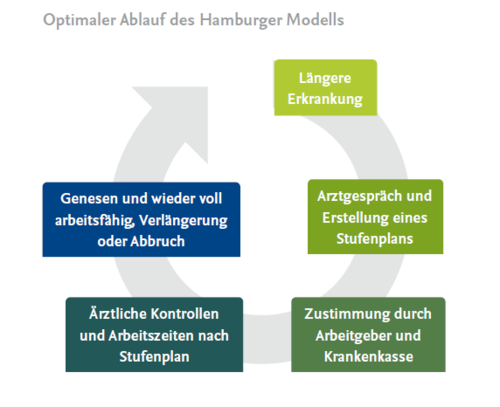 Optimaler Ablauf Hamburger Modell