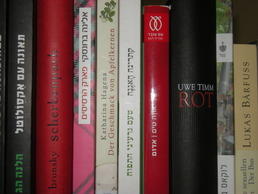 Contemporary German literature: Original and Hebrew translation