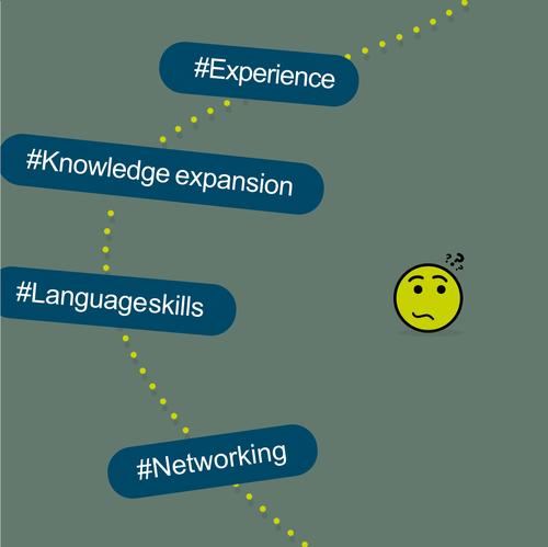 emerging crises_internationality