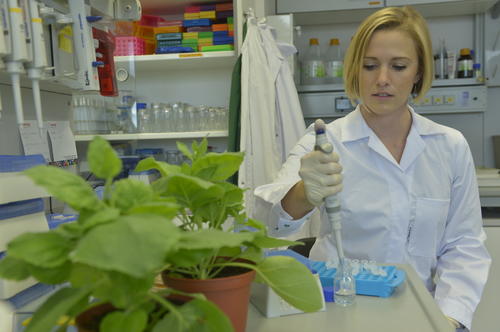 Die promovierte Biologin Tiziana Guerra nutzte unter anderem das DREAM-Mentoring-Programm der Dahlem Research School (DRS), ein Programm, das die DRS ausschließlich Doktorandinnen anbietet.