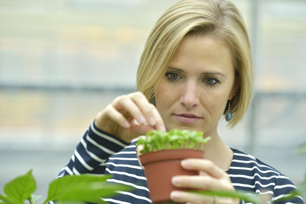 Tiziana Guerra promovierte an der Dahlem Research School der Freien Universität. Heute arbeitet forscht die Biologin  am Leibniz-Institut für Gemüse- und Zierpflanzenbau