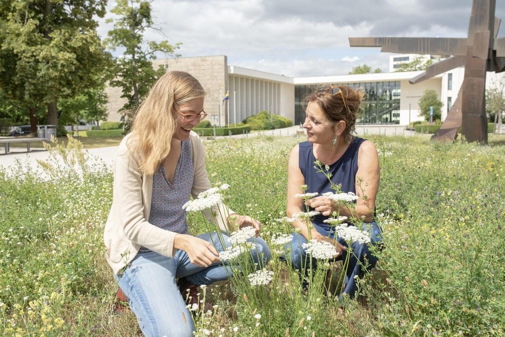 Die Freie Universität will bis 2025 klimaneutral werden. Für dieses Ziel engagieren sich die Mitglieder der Hochschule in vielfältigen Projekten und Initiativen.