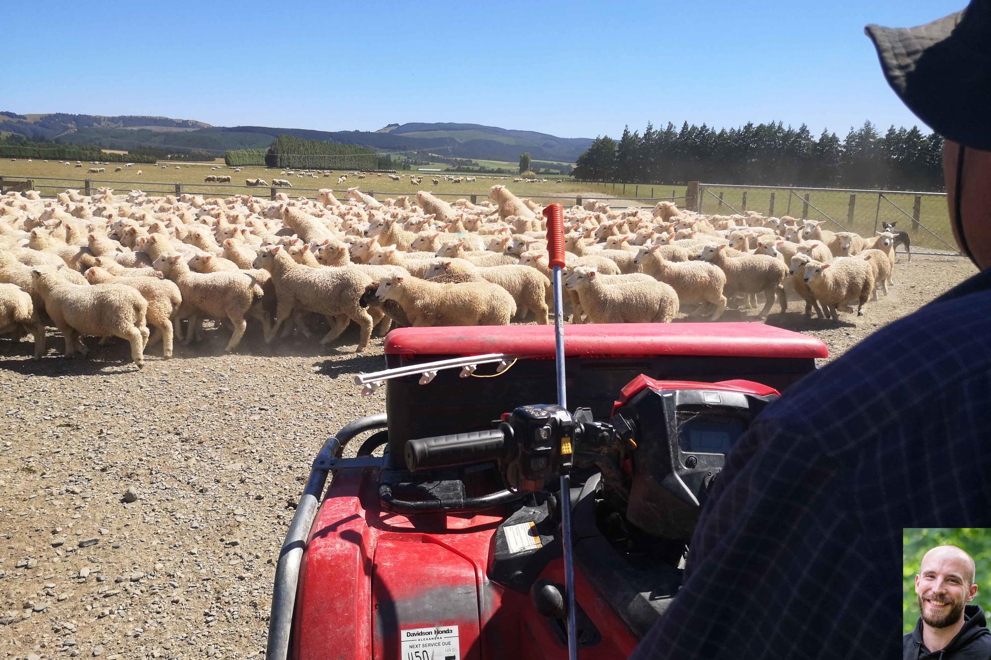 Für Thomas Conrad, Student der Veterinärmedizin, hieß es: Studieren in Düppel – Praktikum in Neuseeland.