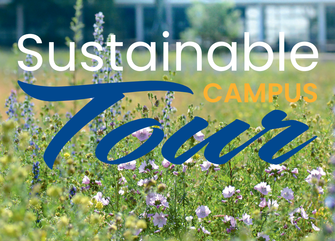 Sustainable Campus Tour