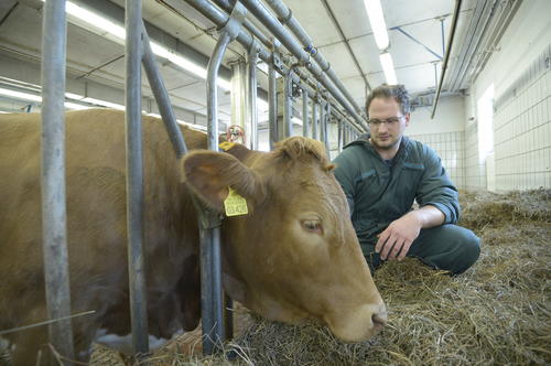 Landwirtschaftliche Nutztiere dienen zur Gewinnung von Nahrungsmitteln wie Fleisch, Milch oder Eier