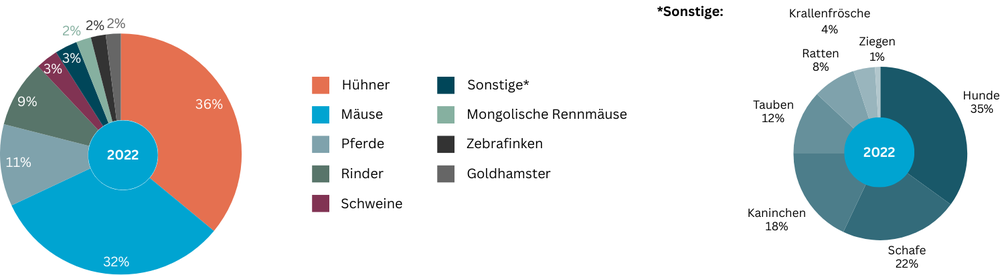 Die Abbildung zeigt die prozentuale Verteilung der 2022 verwendeten Versuchstiere, aufgeschlüsselt nach Tierart: 36% Hühner, 32% Mäuse, 11% Pferde, 9% Rinder, 3% Schweine, 3% Sonstige, 2% Mongolische Rennmäuse, 2% Zebrafinken und 2% Goldhamster.