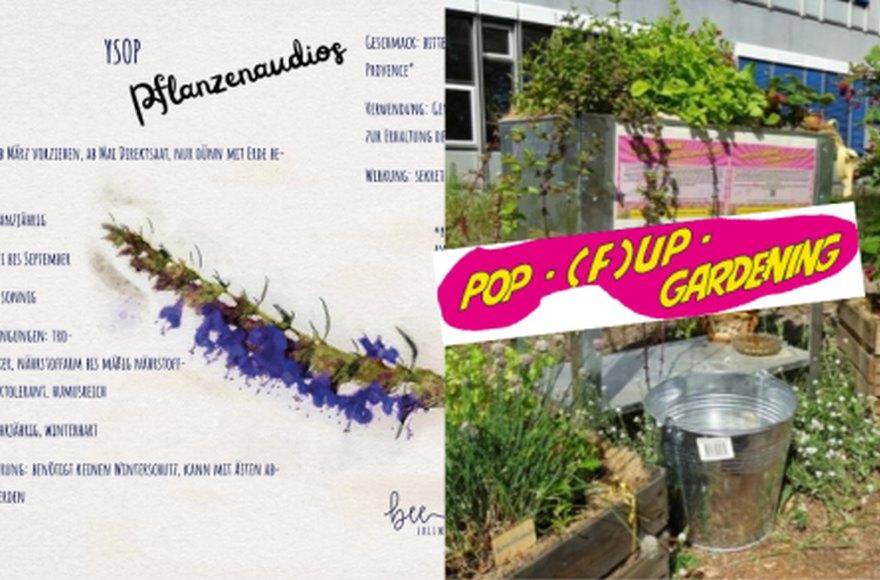 (Audio-)Pflanzenbiografien und PopFU-Gardening
