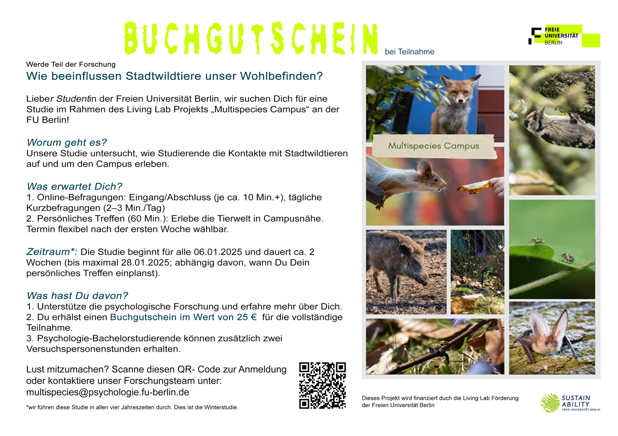 Stadtwildtiere_Flyer_Studie