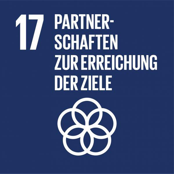 17 Partnerschaften für die Ziele