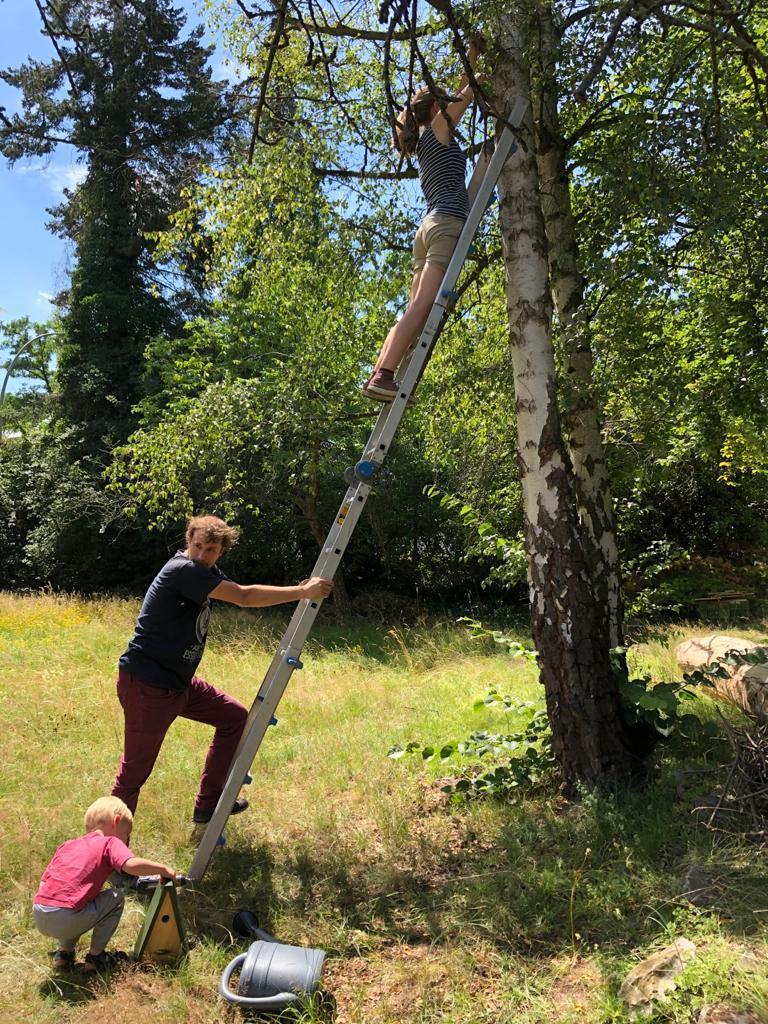 blaetterlaube_sustainIT