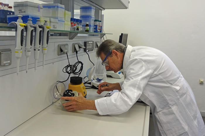 Audit im Fachbereich Biologie, Chemie, Pharmazie