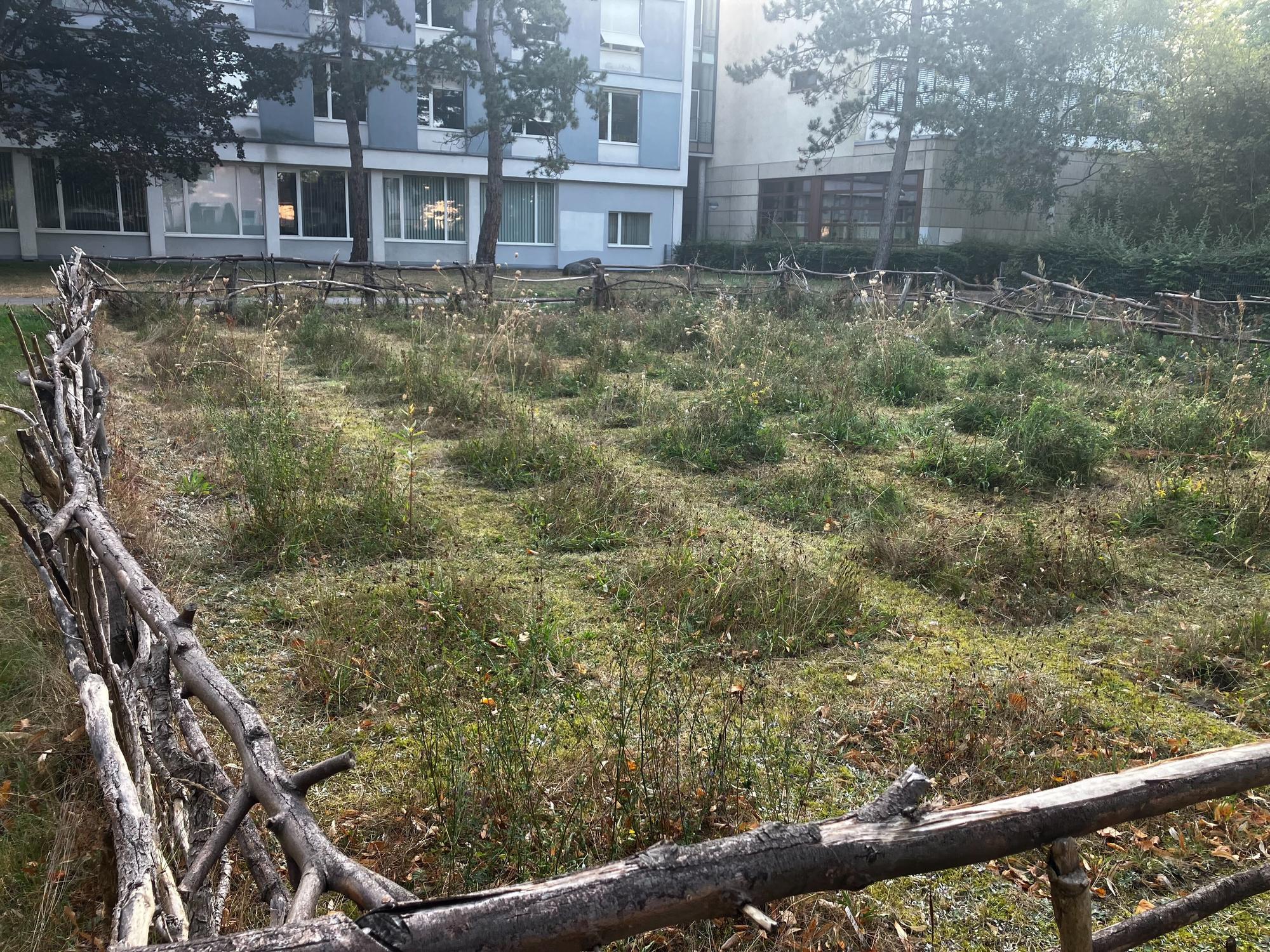 GaryFeldexperiment_BlühenderCampus