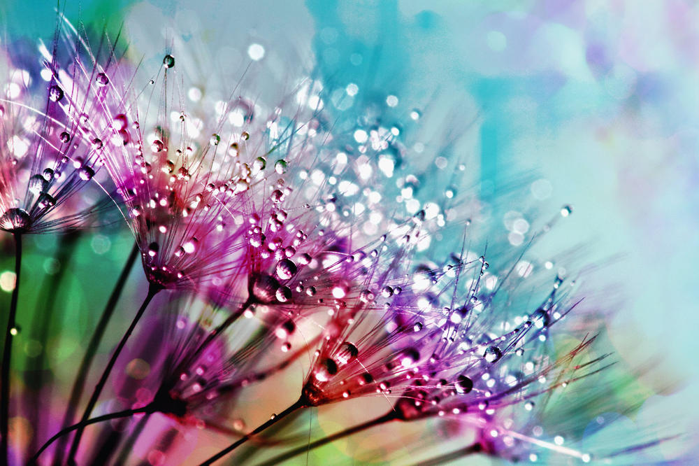 pexels-anthony-794494