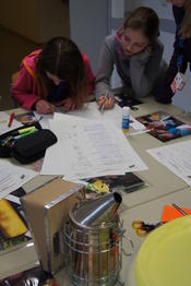 Work´shop: Die Wunderwelt der Bienen und das Geheimnis unseres Überlebens!