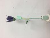 Impression vom Workshop "Die Wunderwelt der Pflanzen - Blumen gebaut aus Altpapier und Pappbechern"