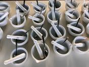 Schüler:innen Uni in der Blätterlaube