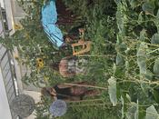 Botanische Nacht 2019