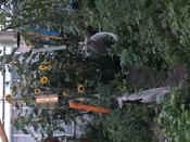 Botanische Nacht 2019