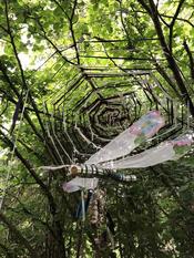 Botanische Nacht 2019