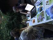 Botanische Nacht 2019