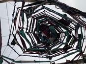 Botanische Nacht 2019