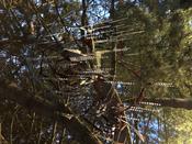 Botanische Nacht 2019