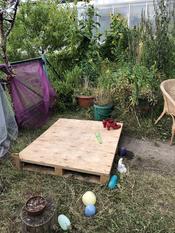 Botanische Nacht 2019