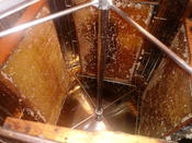 Bienen, Honig und Met