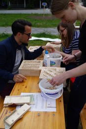 StudentInnen beim Bestücken des Wildbienenhotels.