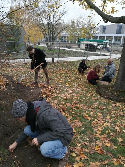 Gemeinsames Blumenpflanzen