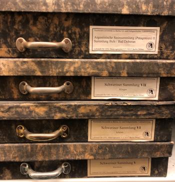 Schachteln mit Steinartefakten aus der Sammlung des ehemaligen Lehrstuhls für Ur- und Frühgeschichte an der Humboldt-Universität, heute Teil der Lehrsammlung für Prähistorische Archäologie der FU.