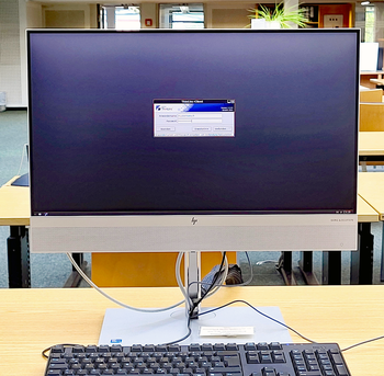 ThinClient